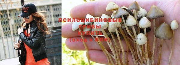 a pvp Волоколамск
