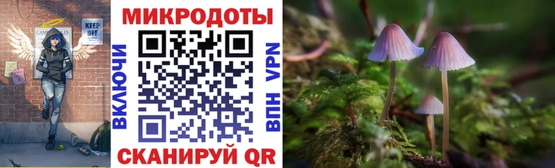 наркота  дарк нет Telegram  Псилоцибиновые грибы мицелий  Каргат 